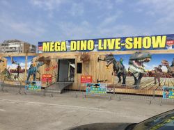 IMG-20160703-WA